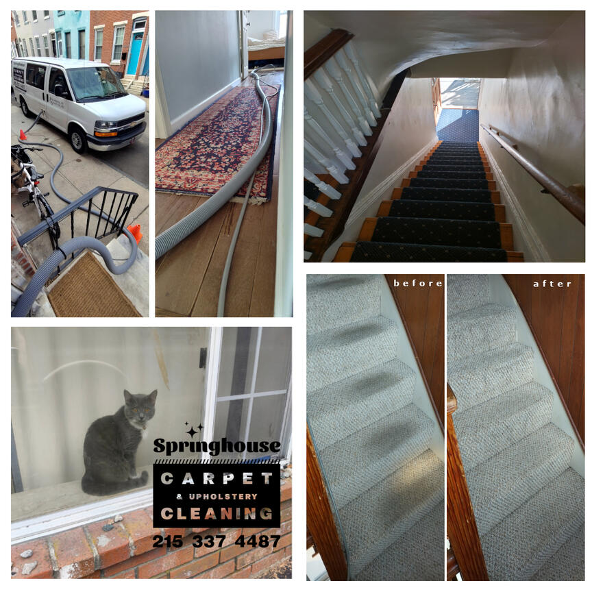 Philadelphia carpet cleaner carpet and upholstery cleaning